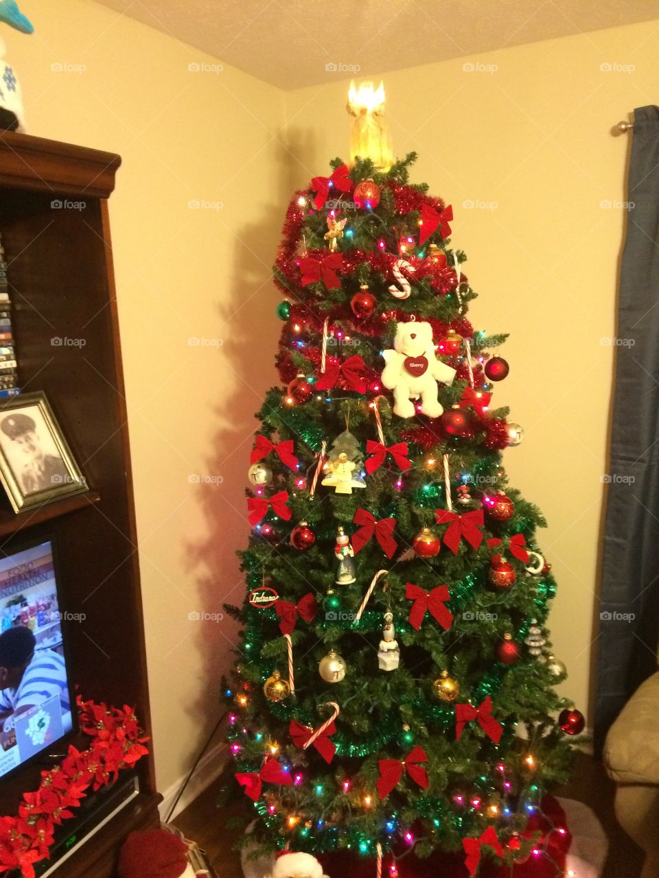 Oh Christmas Tree!