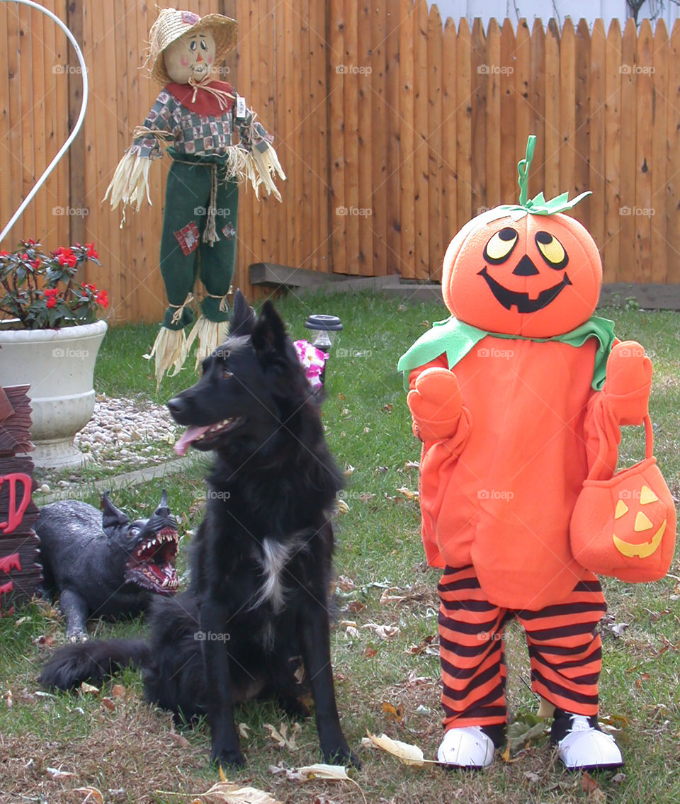 Posing with the pumpkin