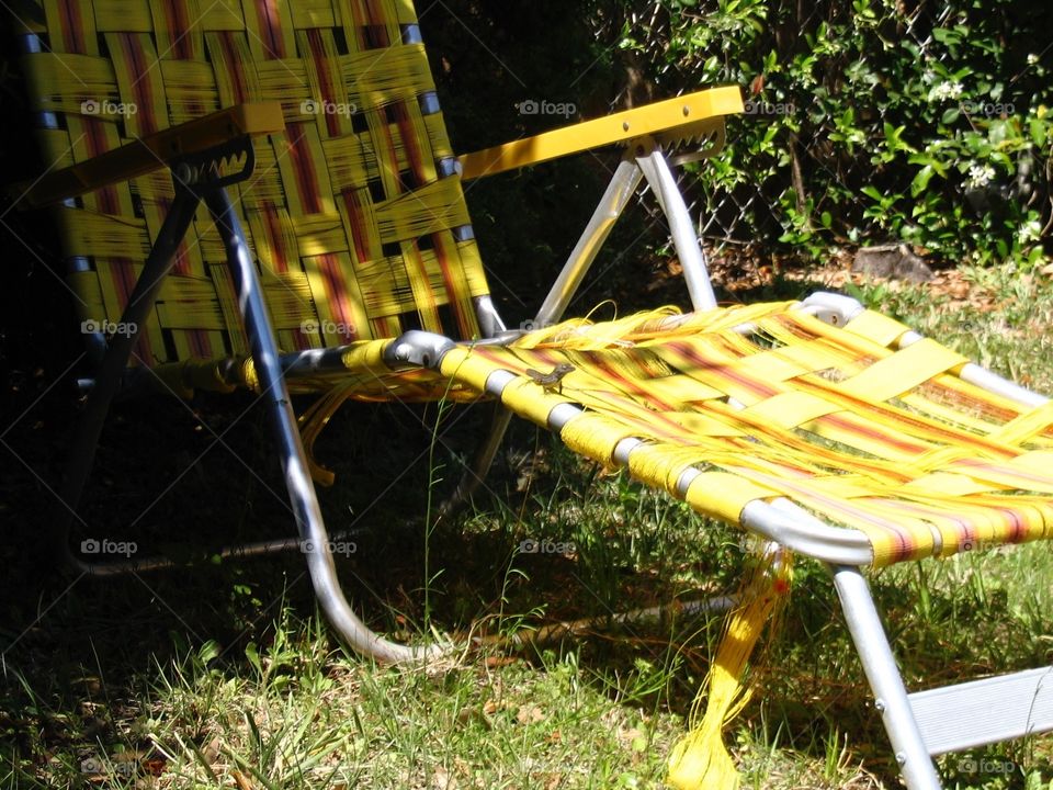 Lizard on a yellow lawn chair. A lizard sunning itself on a yellow lawn chair in Florida, I am not in the chair having flown off it in surprise (fear!)