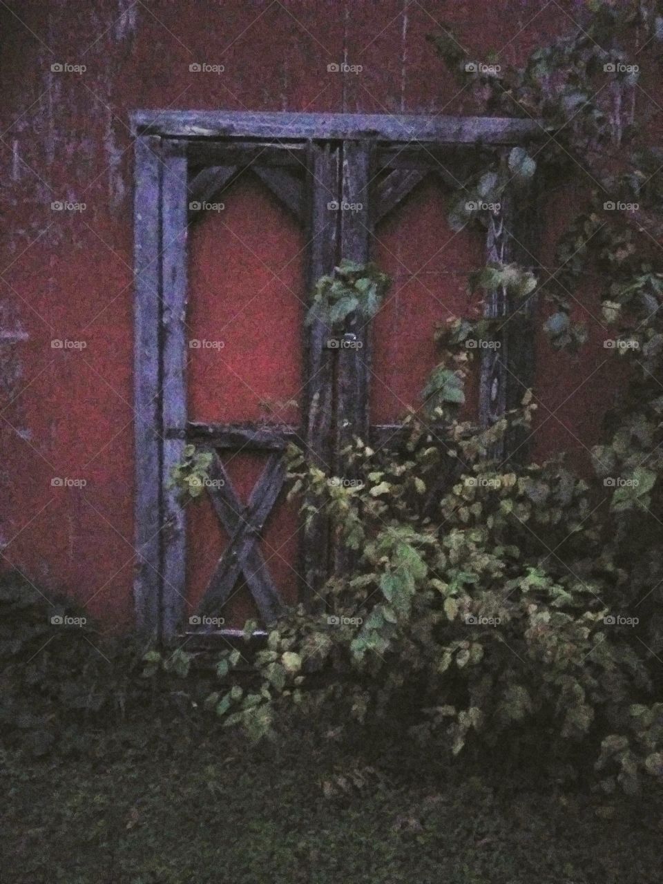 old doors