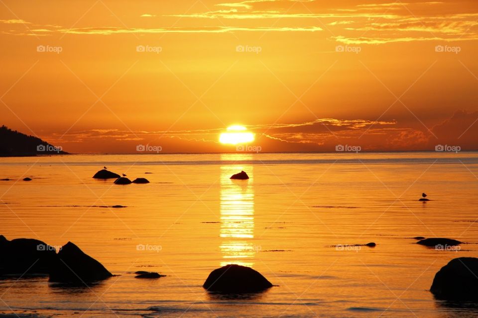 Beautiful sunset landscape 