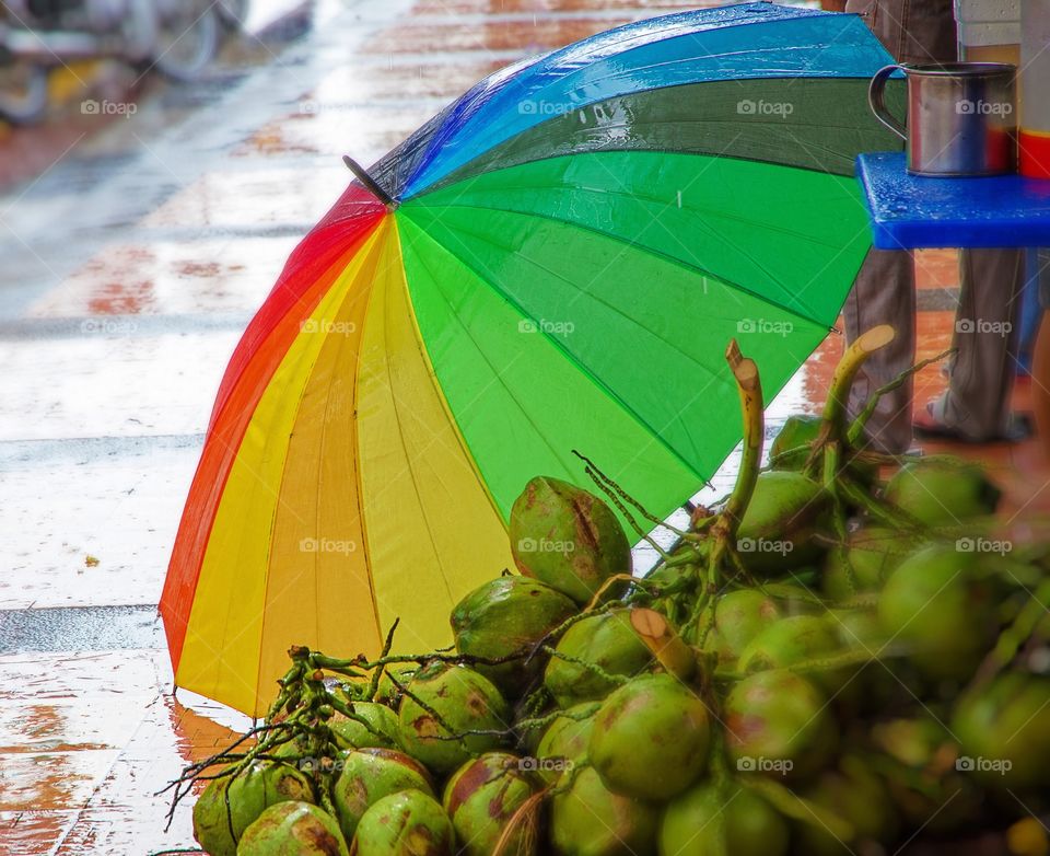 Colourful umbrella with coconuts