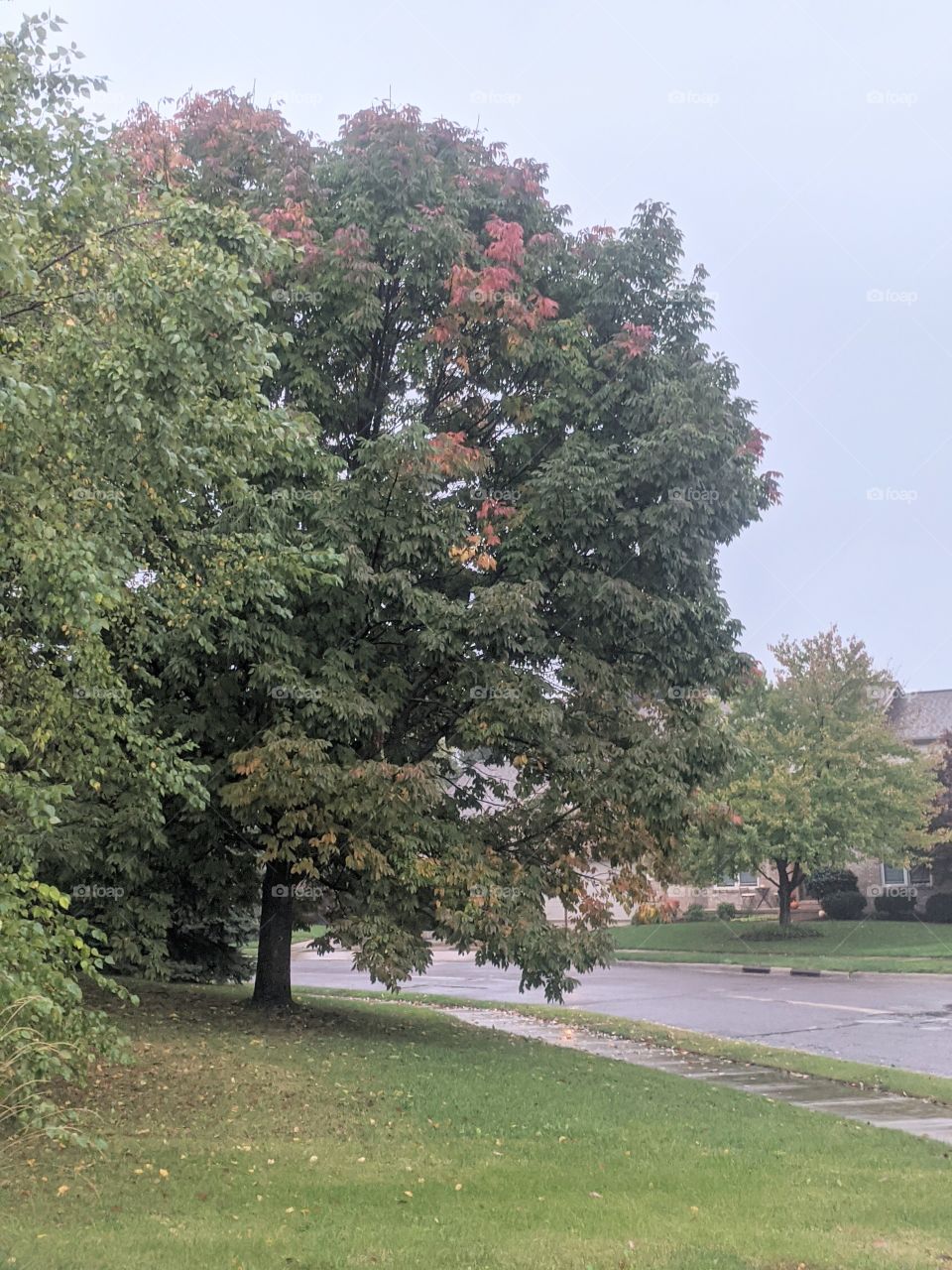 Days are beautiful when there is hope and if hopes are endless , opportunities are endless as well !