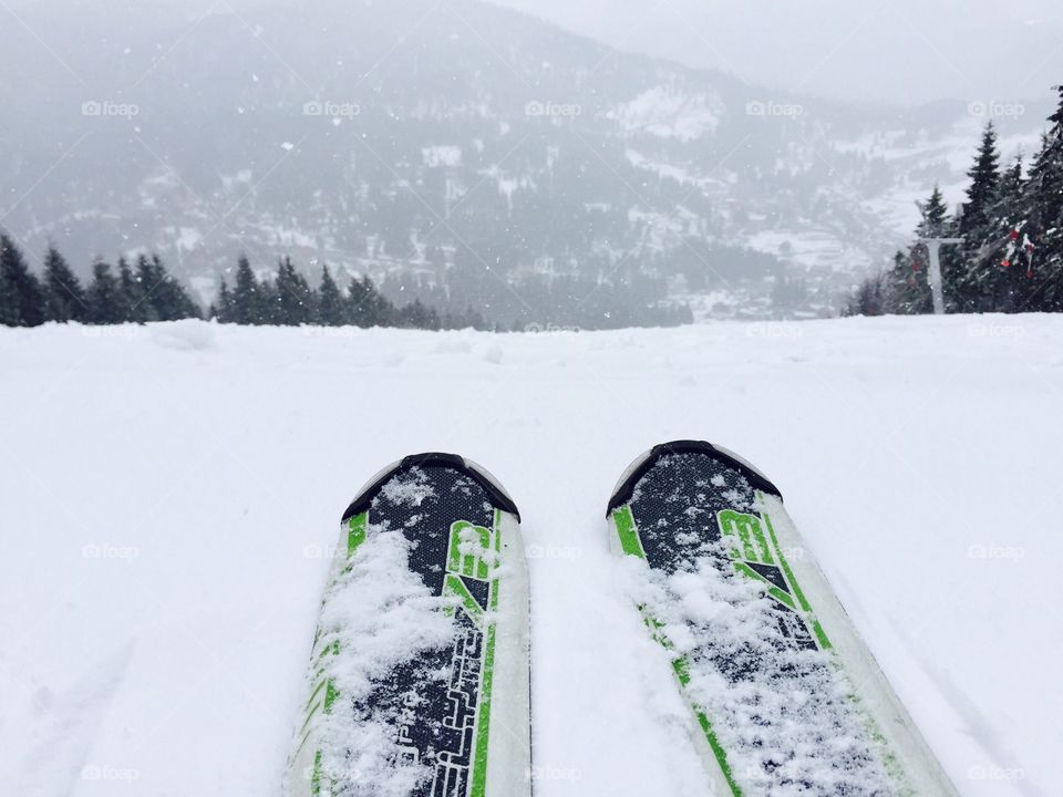 Close up of skis with snowy evergreen forest ahead