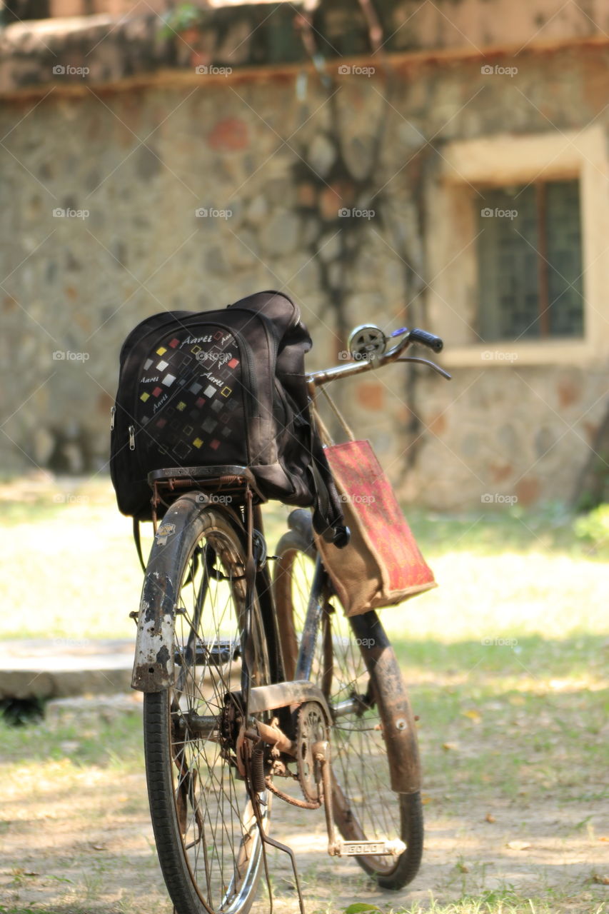 waiting for the rider