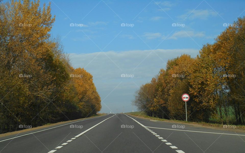 autumn landscape and road