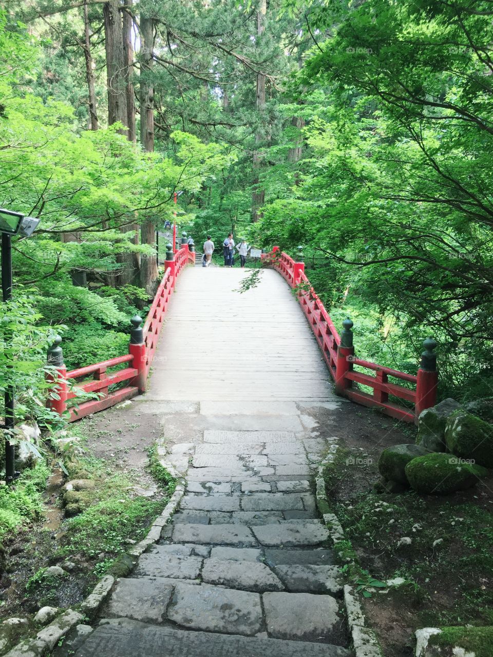 This photo is Japanese Bridge. 