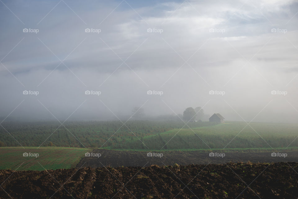 Rural landscape in misty autumn morning