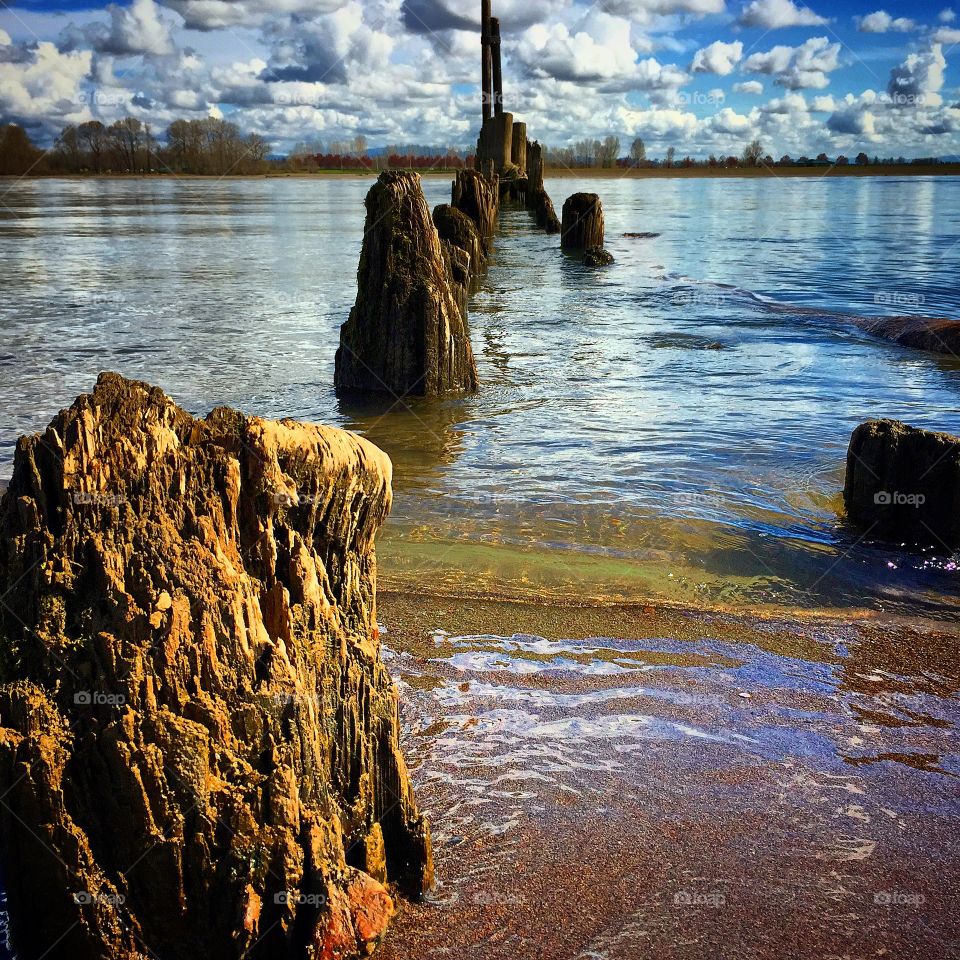 Columbia River Scene. A view of the Columbia River from a private beach on Sauvie Island.