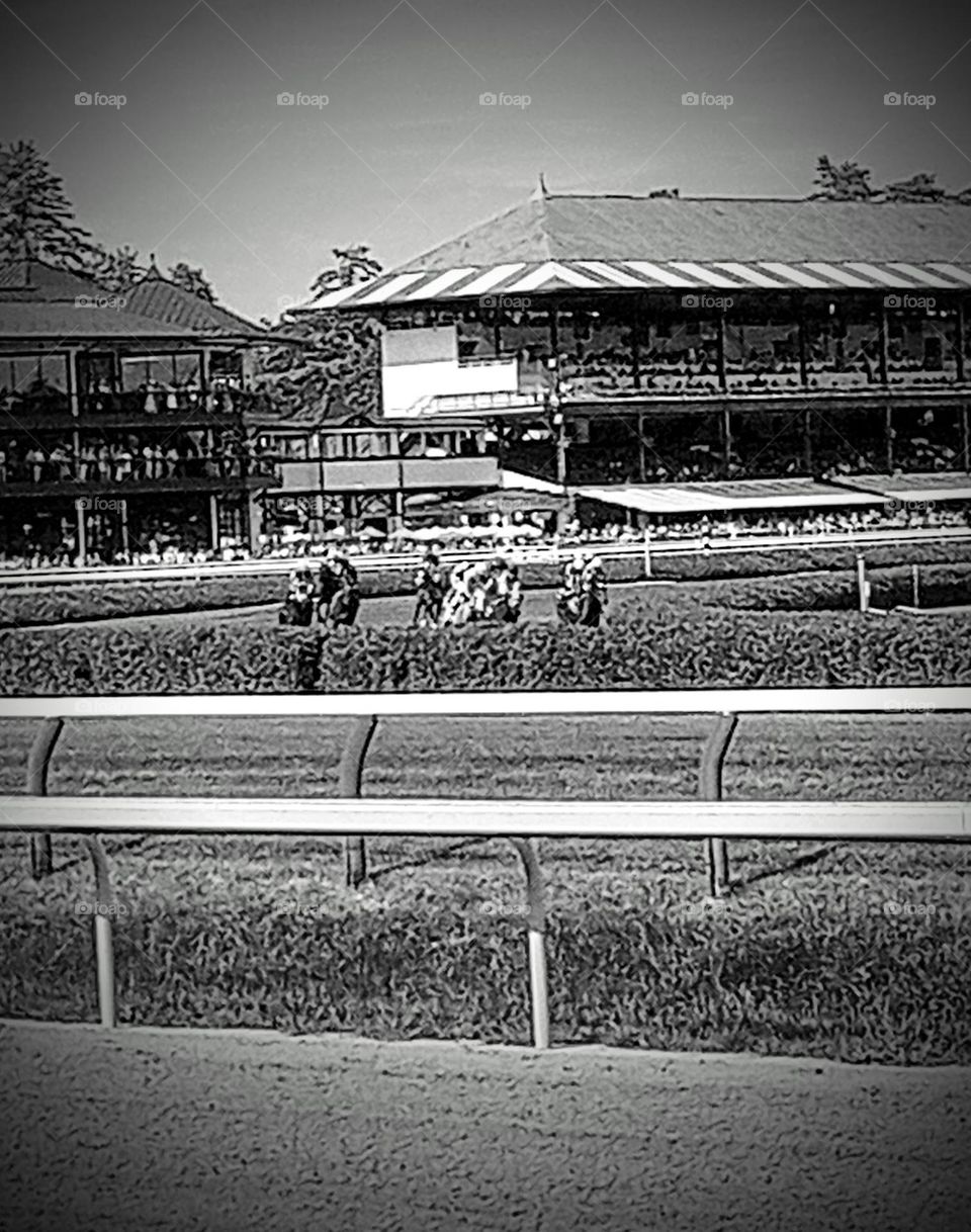 Black and White of Horse Race