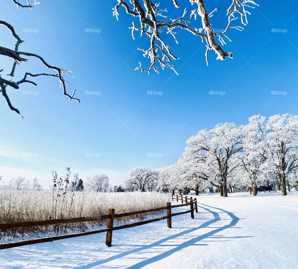 Gorgeous winter scene! 