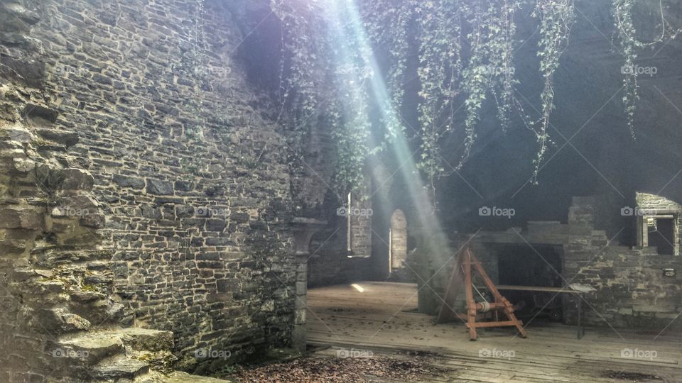 light shines in an Abbey