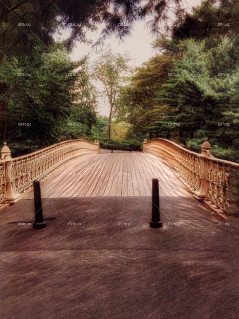 Outdoors/Nature/Landscape, Pine Bank Arch Bridge  - Central Park, Manhattan, New York City. Instagram,@PennyPeronto