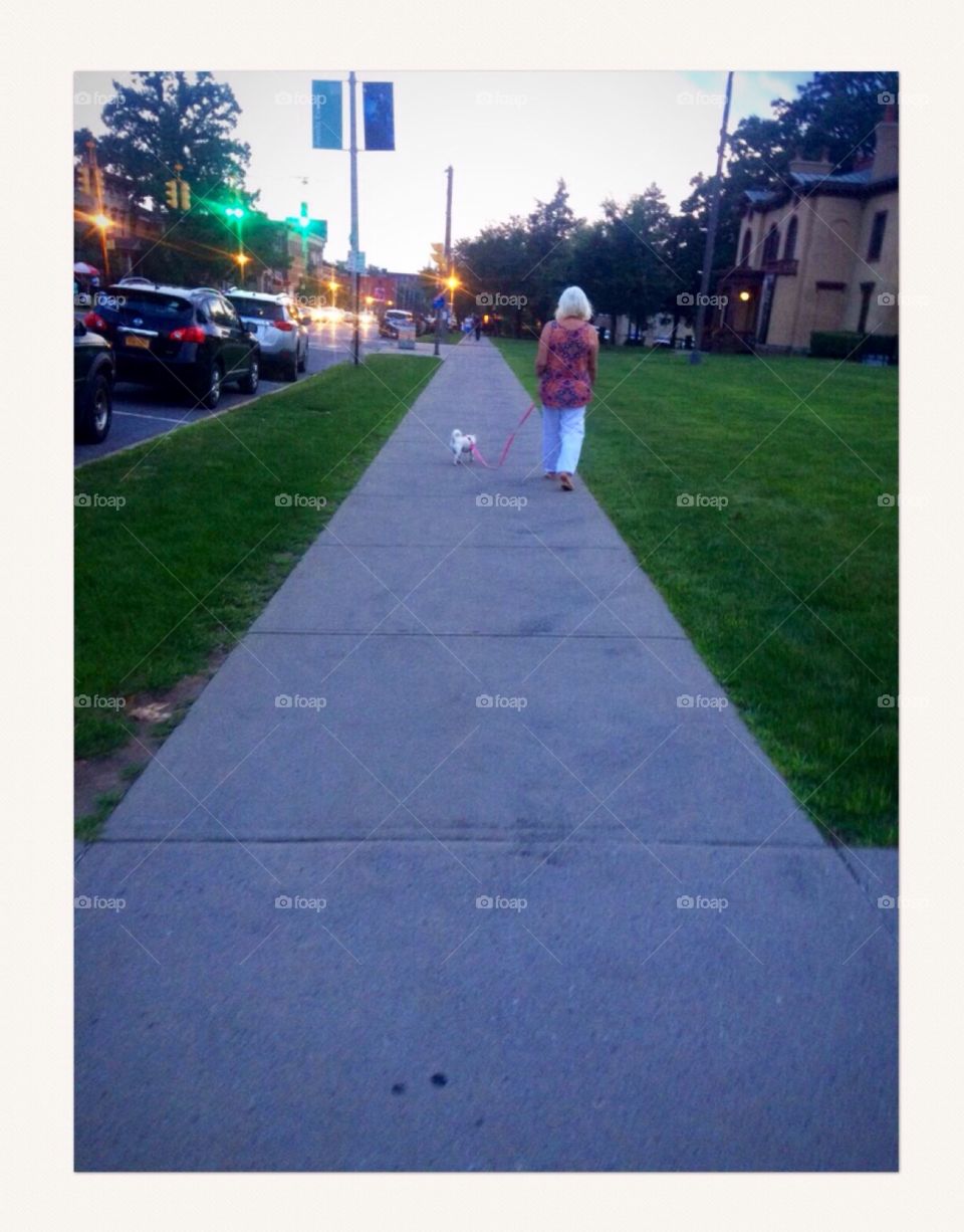 Walking down the street ( with my chihuahua)