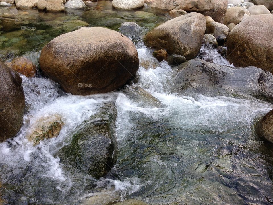 Late August. An unconventional heatwave has left the rivers of the pacific rainforest at an all time low. The salmon will not be pleased.