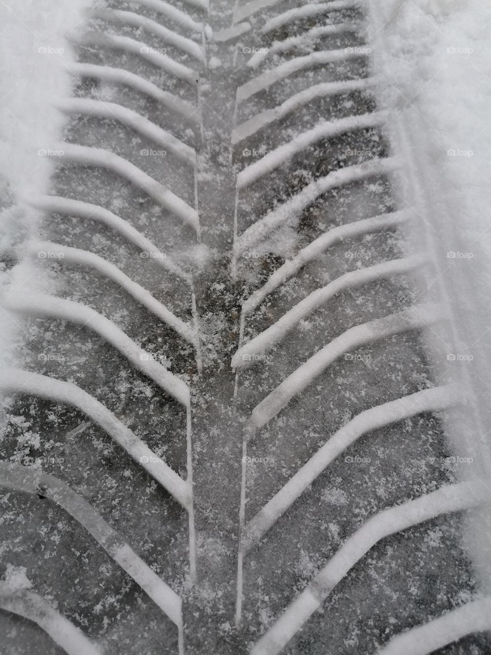 Tire tracks in the snow