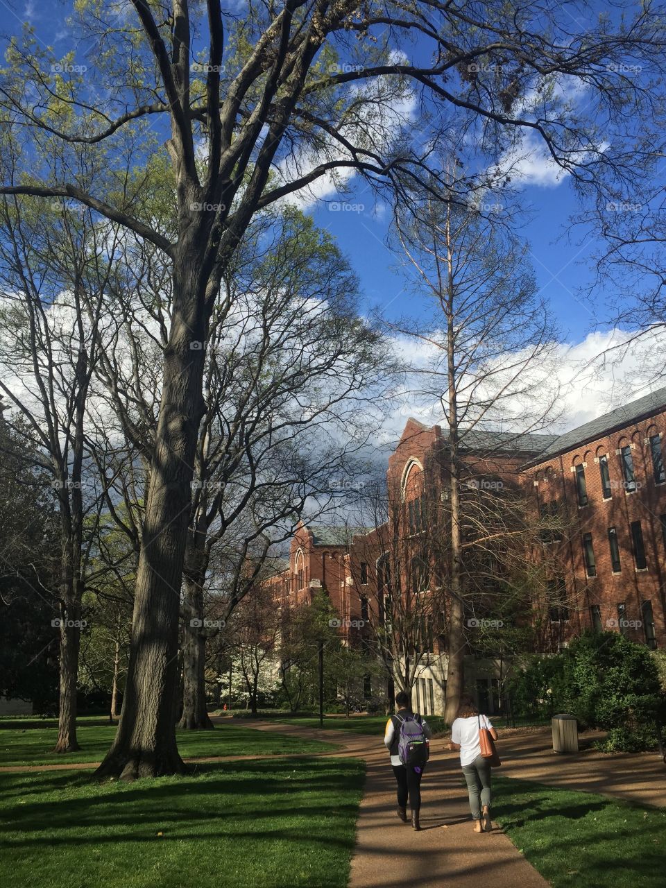 Vanderbilt university in Nashville 