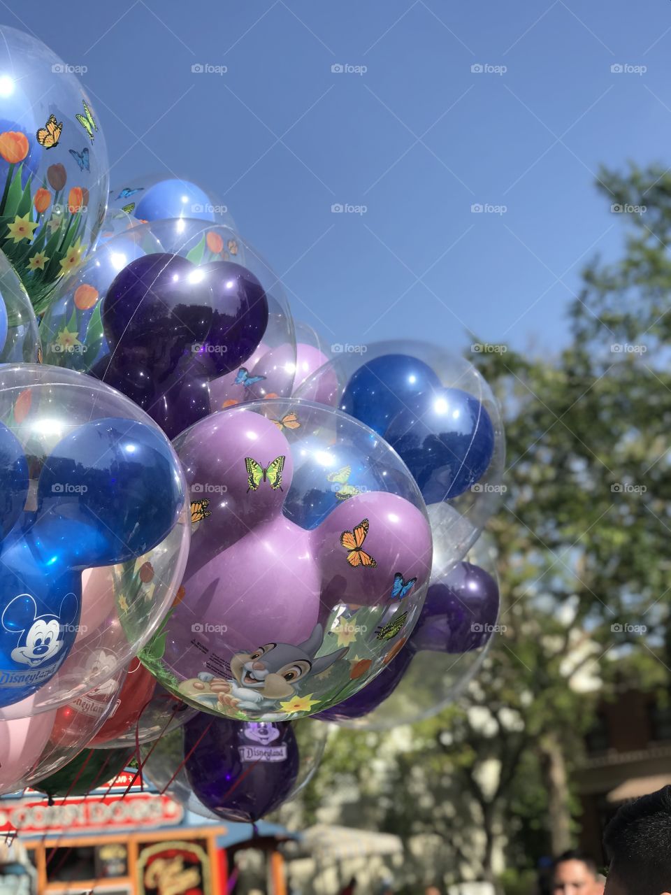 Colorful pastel Mickey Mouse ear balloons floating outside at Disneyland park in California in summer or spring