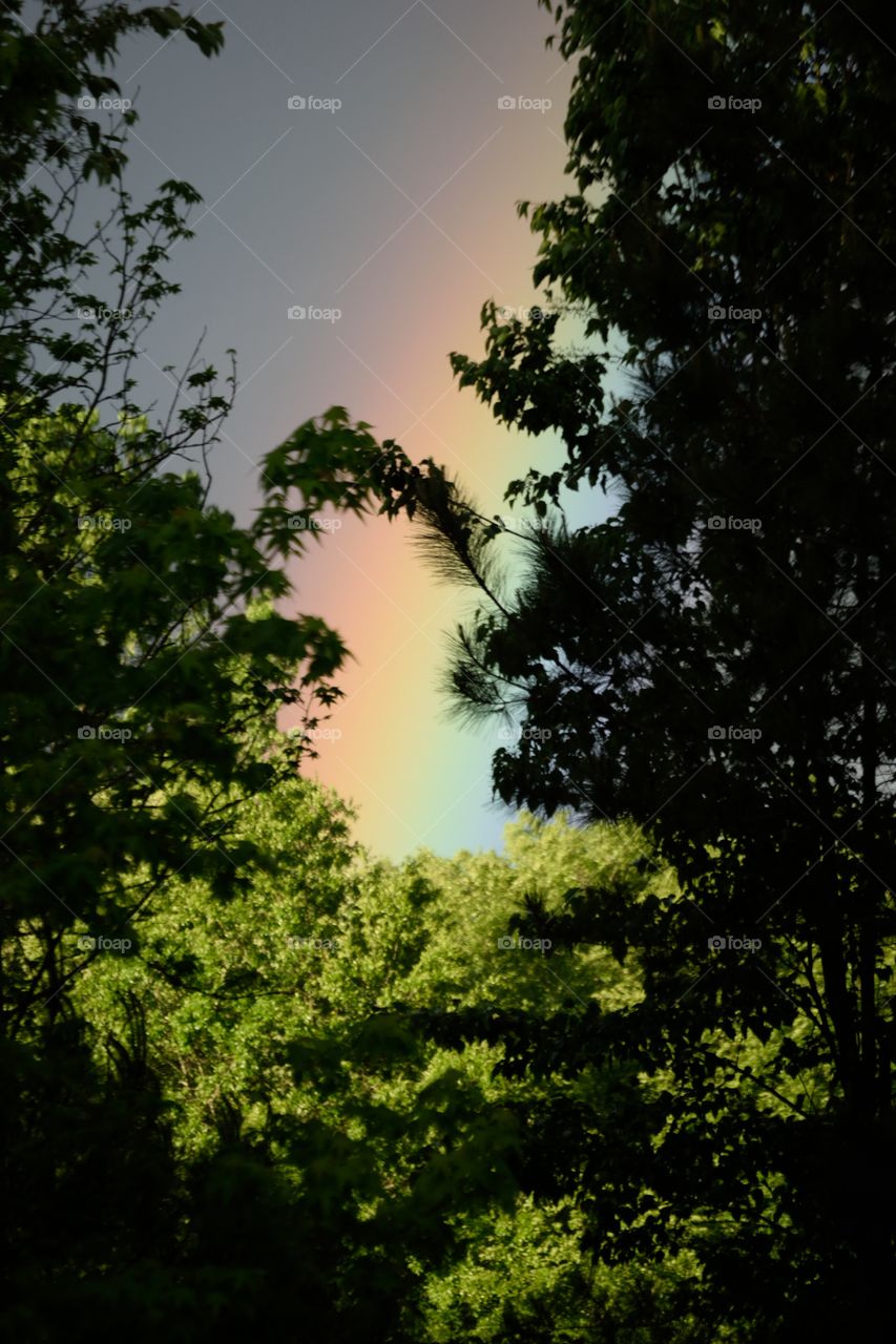 Bright Rainbow showcasing in the sun