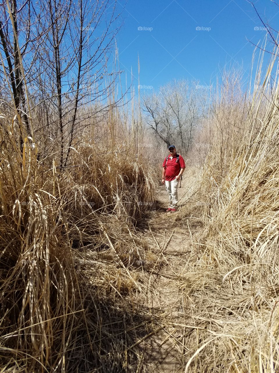 Hiking In the Bosque