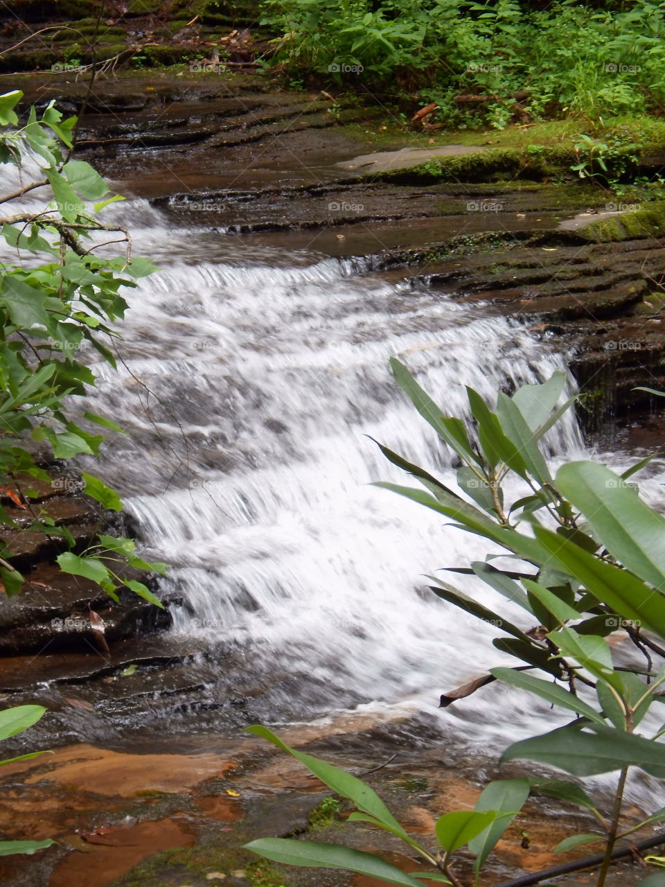 North Georgia mountain stream shoals