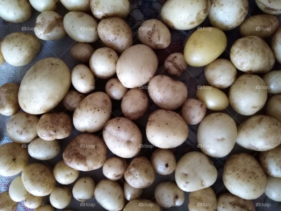 Small potatoes.