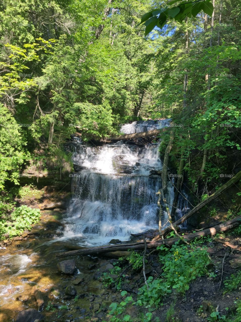 Michigan 