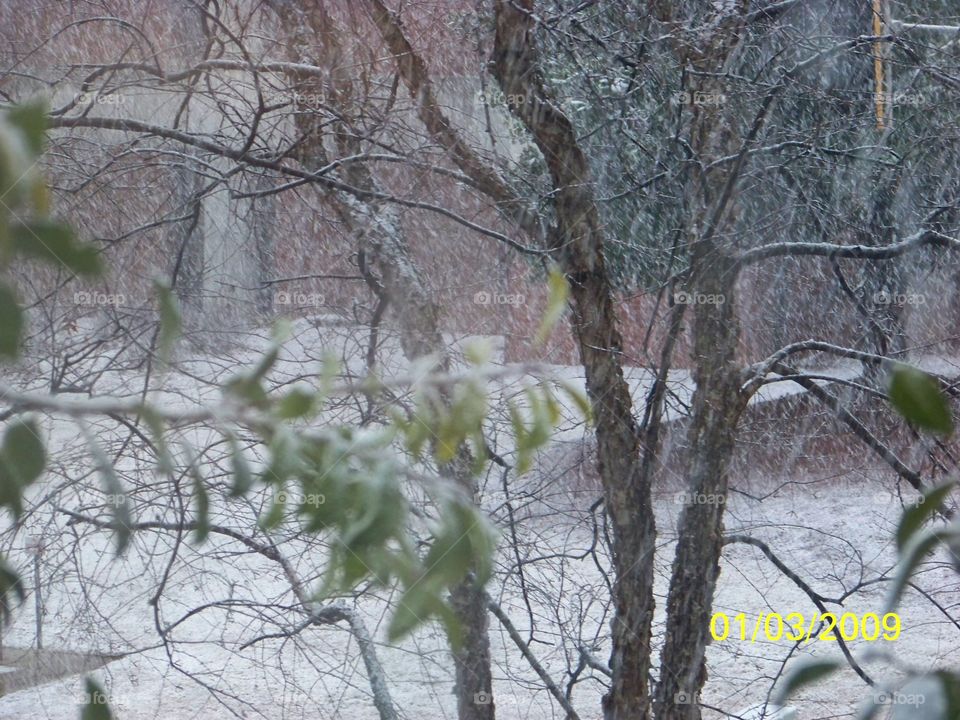 blurry snowfall