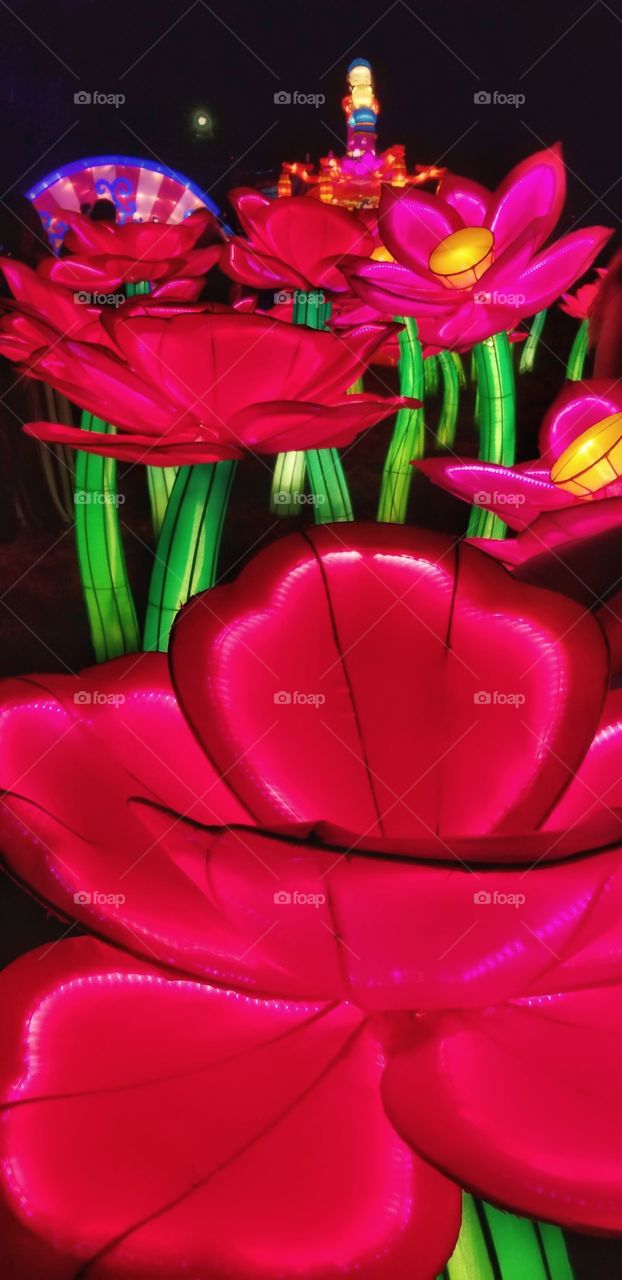 ILLUMINATION of Lights