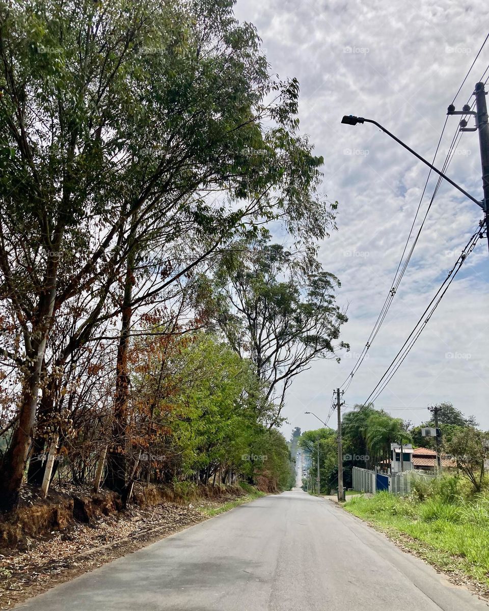 Margeando a Rodovia Anhanguera, em Valinhos-SP, e reparando: como é bonito o Interior Paulista!

Fotografar desestressa…
