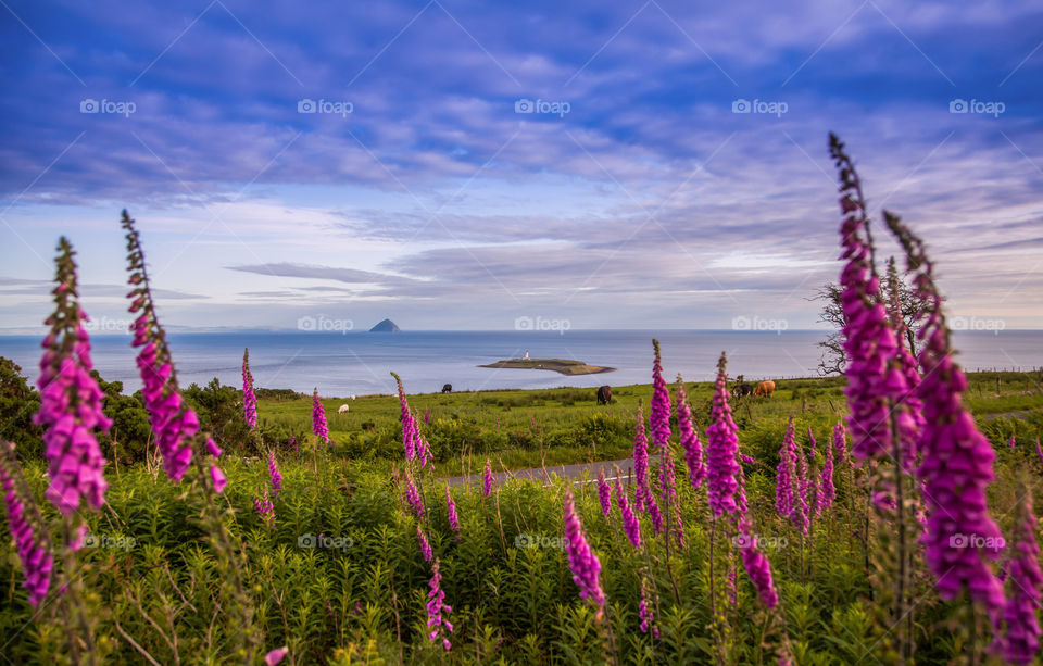 Isle of Arran Landscape 