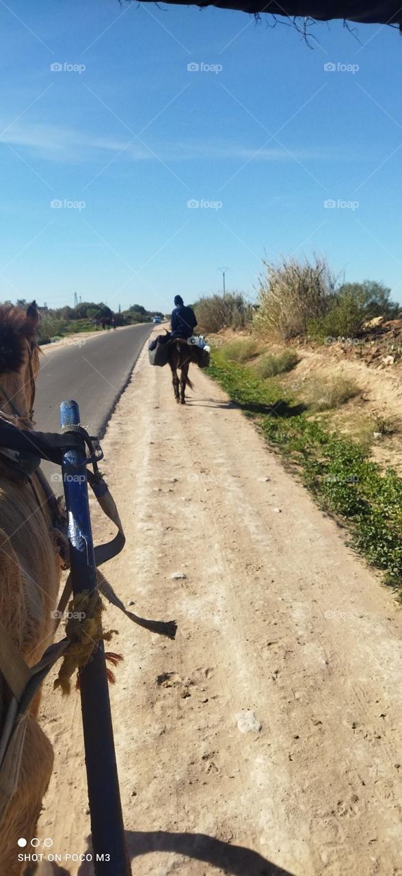 the horse carry on a carriage and a man on his donkey.