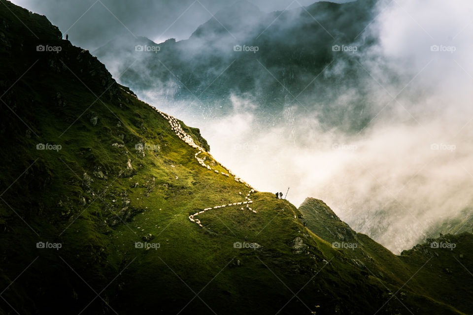 Landscape, No Person, Nature, Mountain, Fog