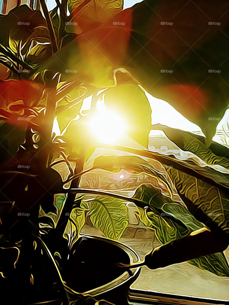 the sunlight through the plant leaves is shinning so bright like a golden flower in Yangsan south korea.