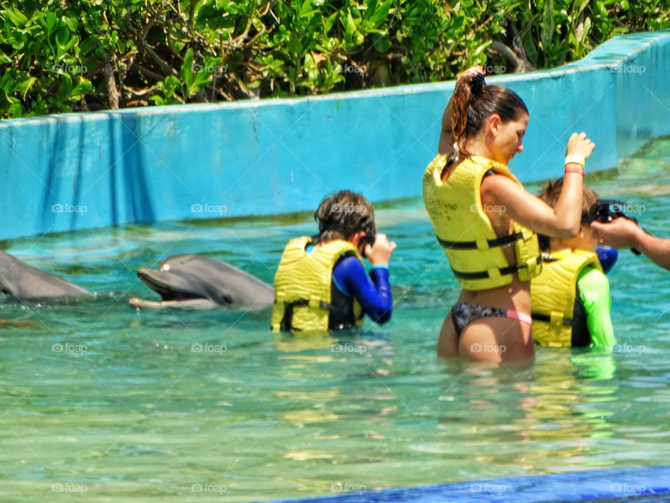 Swimming With Dolphins