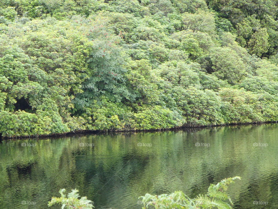 Green reflections. Black lake the Vee Ireland 