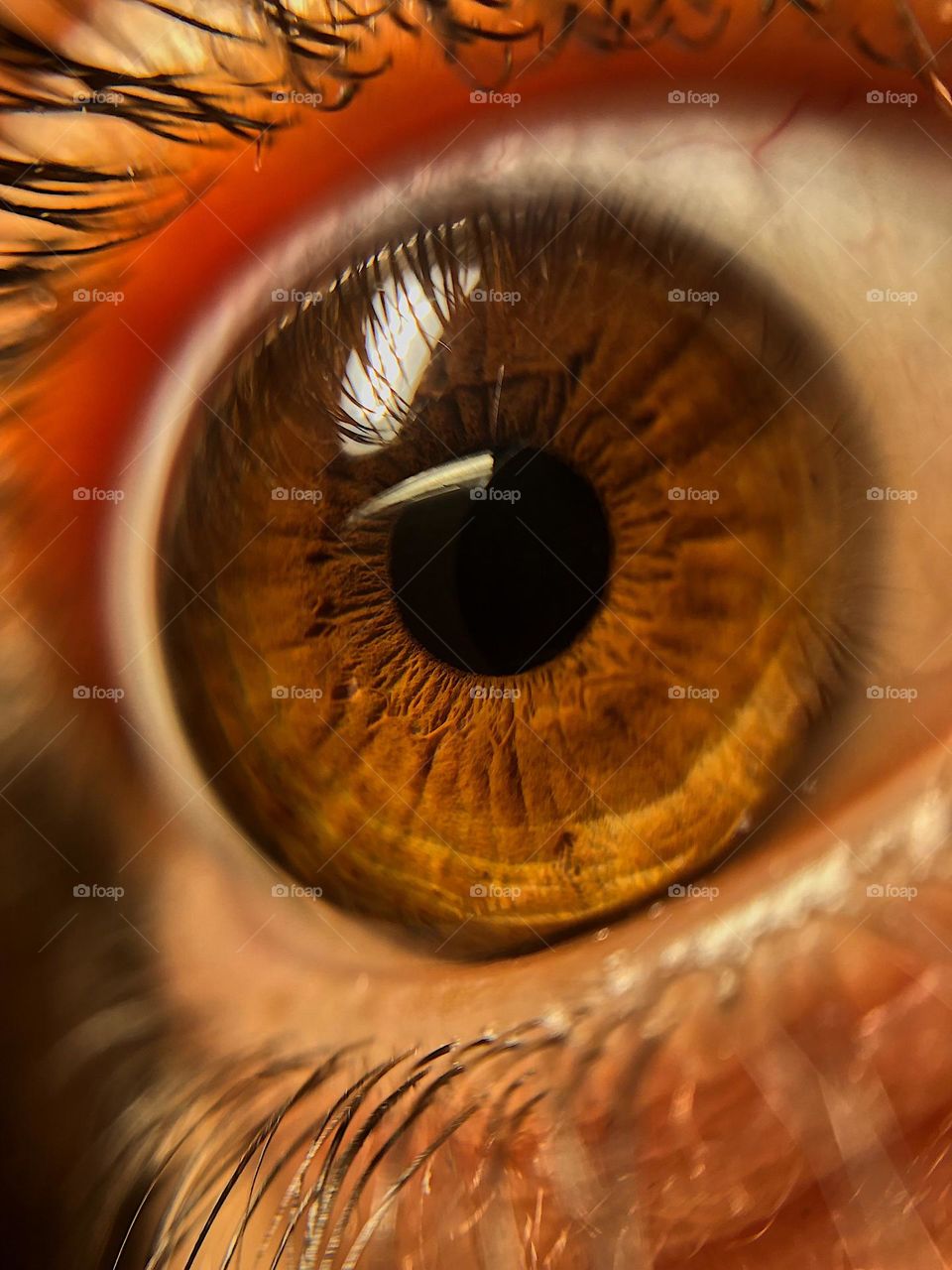 Close up of human eye