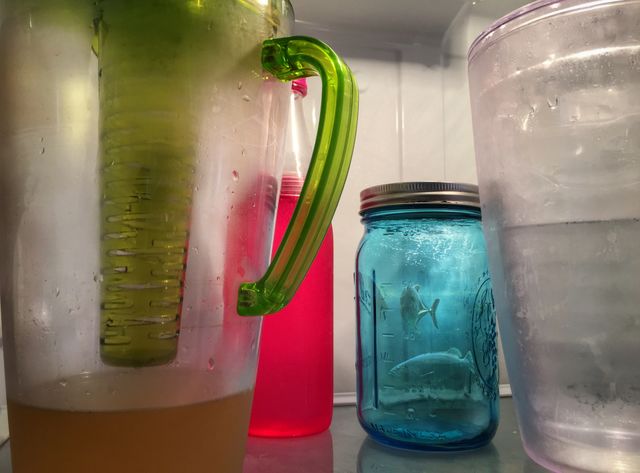 Fish in a jar