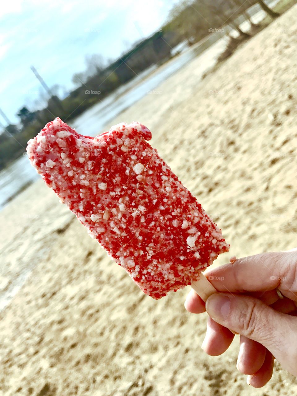 Strawberry Popsicle 