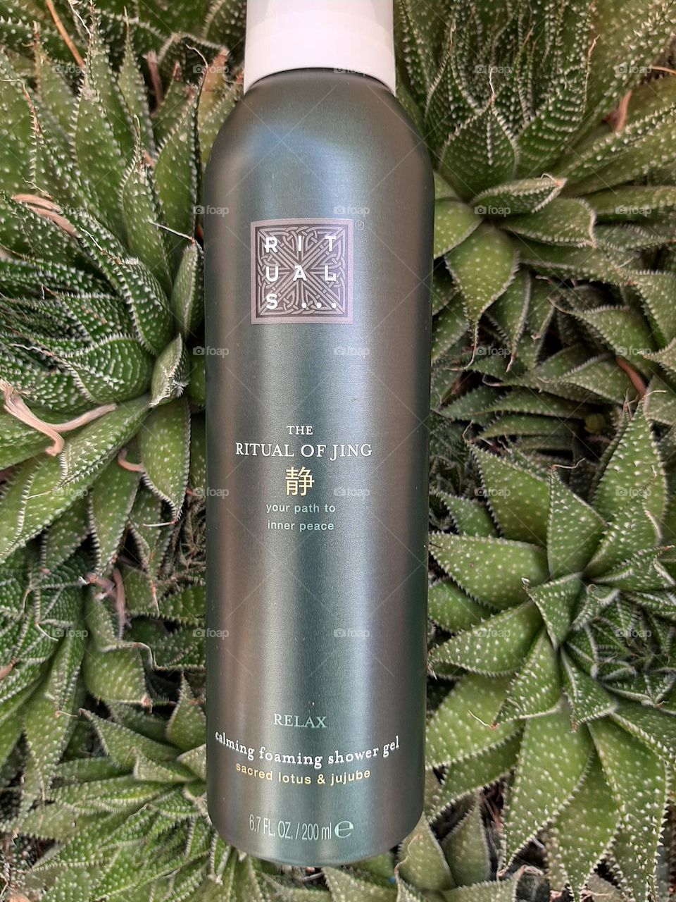 A Ritual of Body & Mind