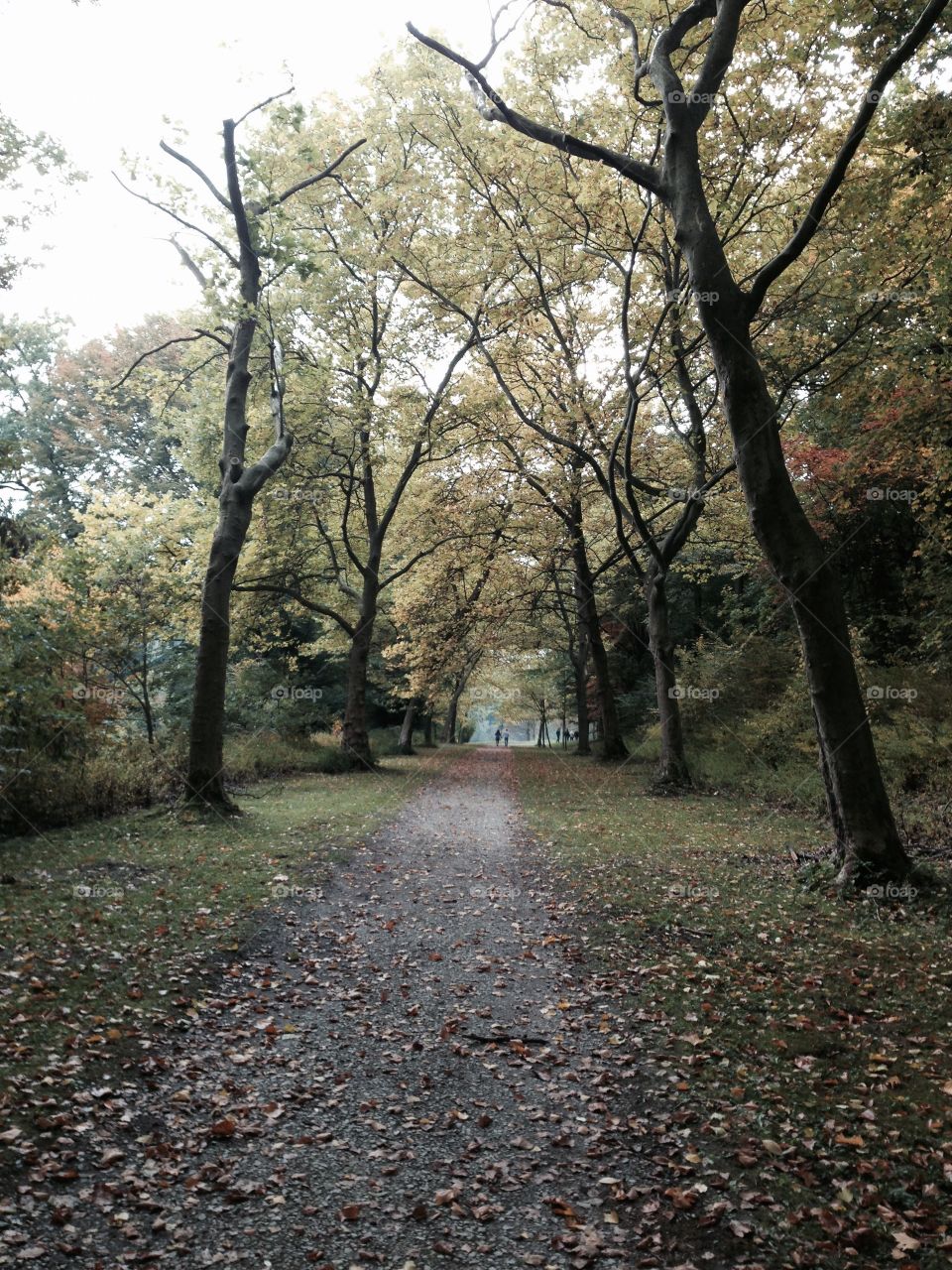 Walking in the park2