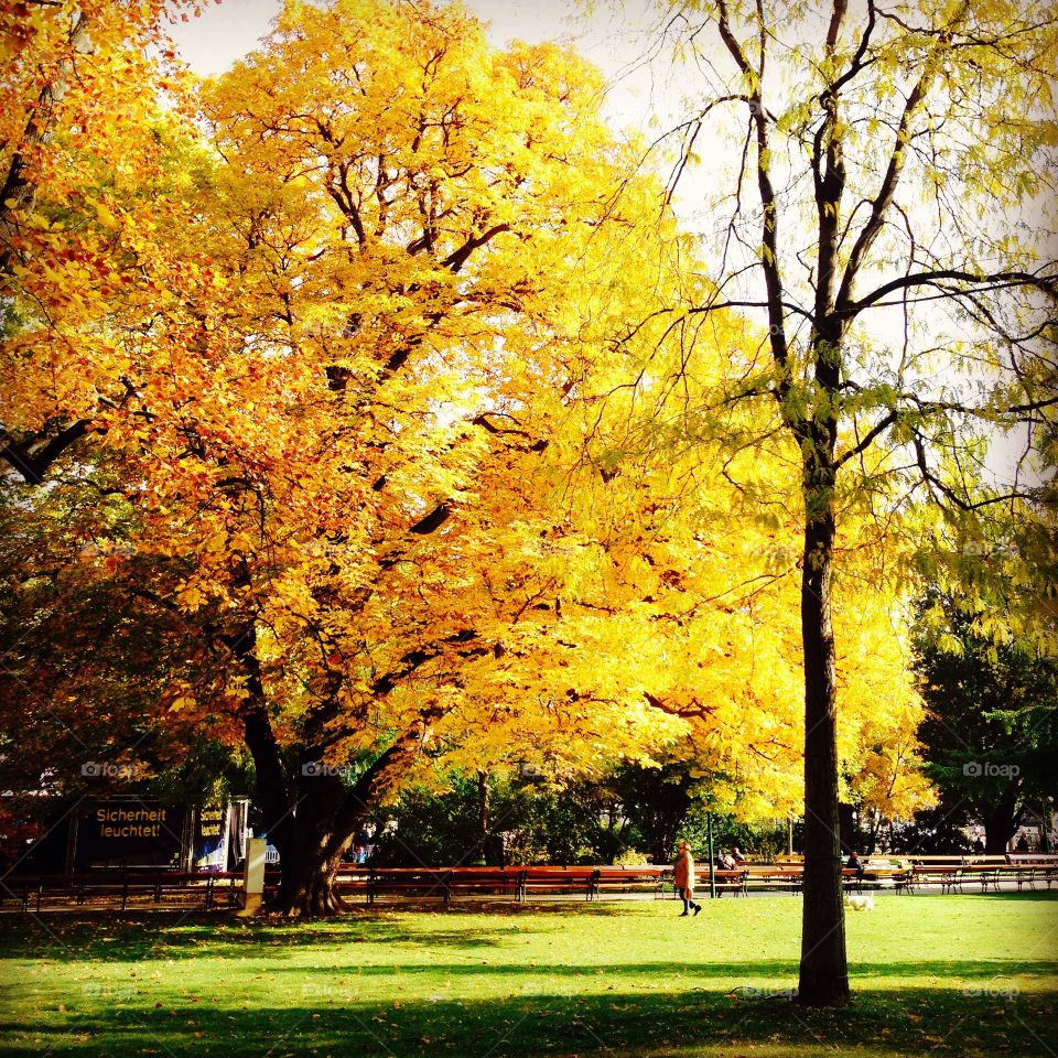 Autumn in Vienna, Austria 