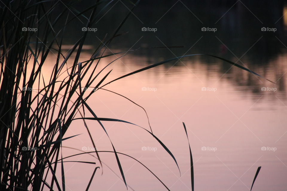 Lake at Dusk