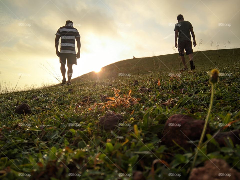 Morning walk