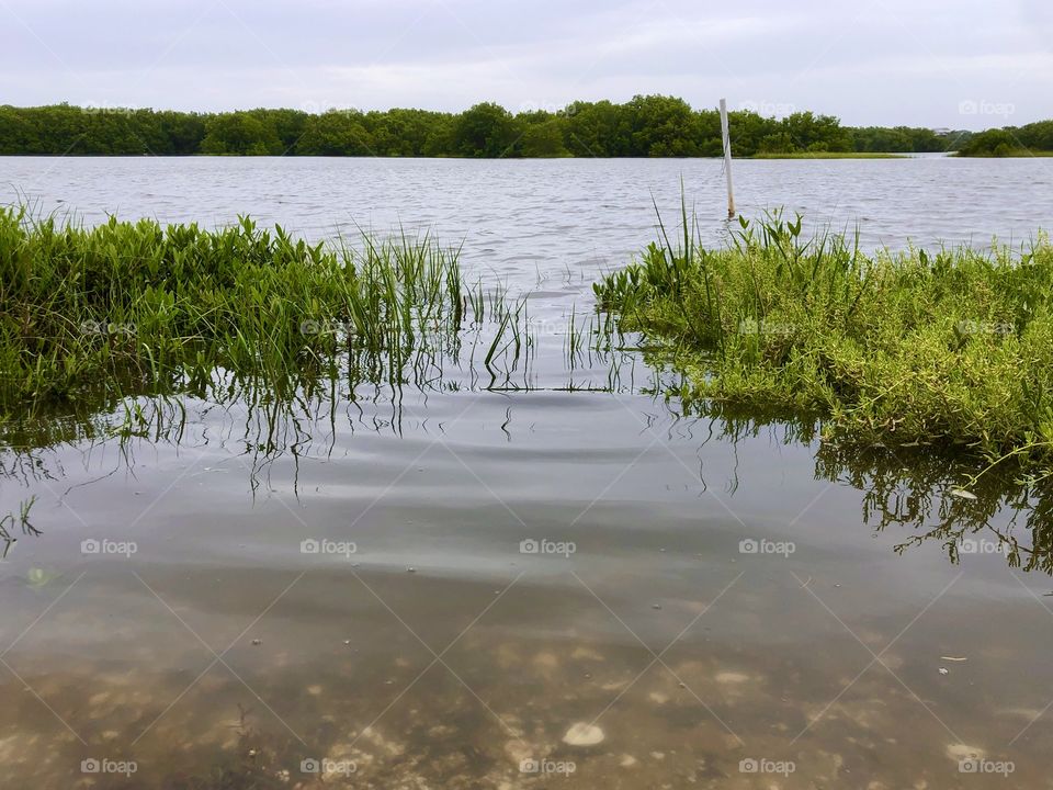 Bayou at high tide