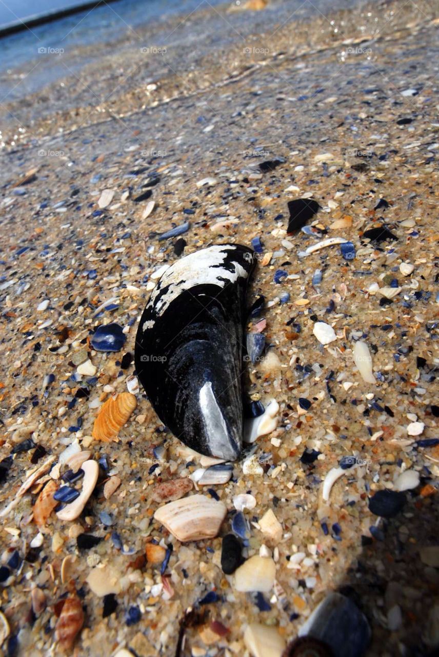 beach ocean summer water by el62580000