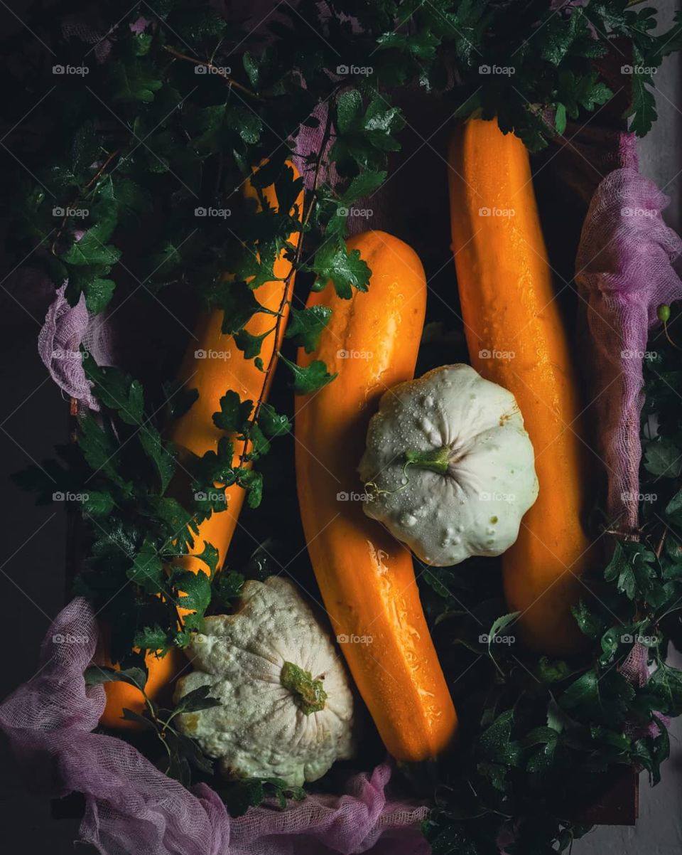 zucchini and squash harvest