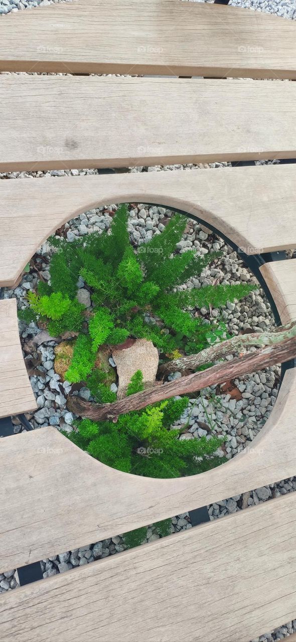 Plant in the centre of round bench.