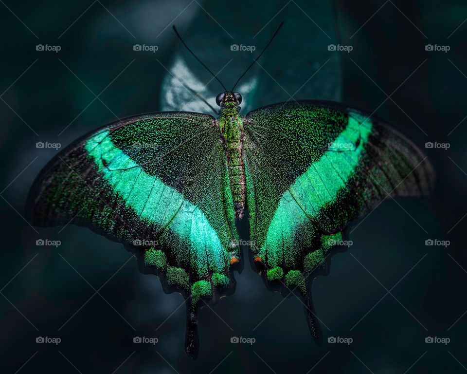 I took photography like a duck to water.  I never wanted to do anything else.  The enthusiasm on the subject is the voltage that pushes me over the mountain of servitude necessary to produce the final photograph.