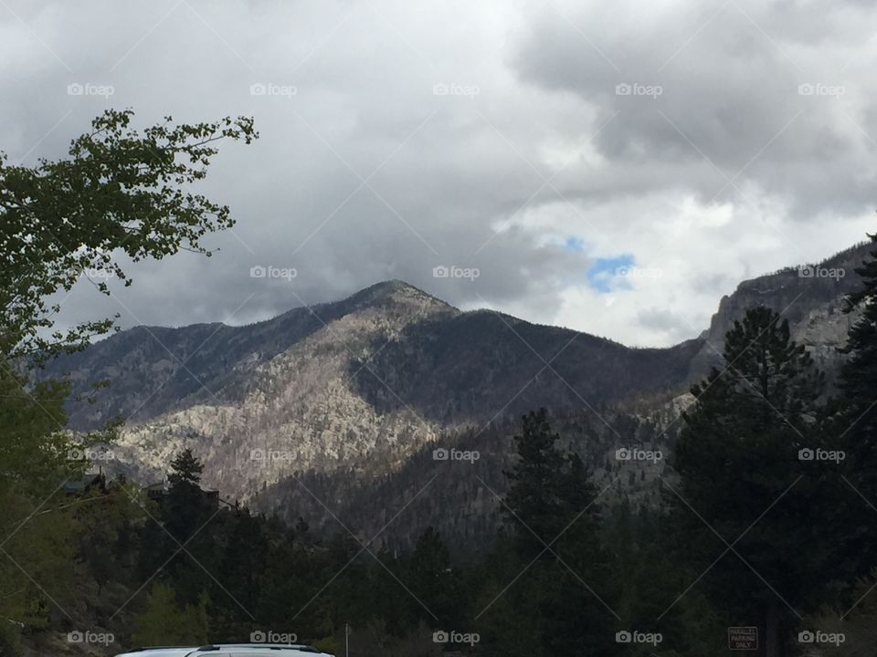 Mount Charleston. Great place for hiking and mountain climbing, in the winter great place for skiing. 